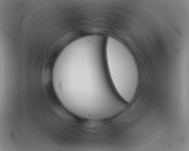 X0000114190077200910091037