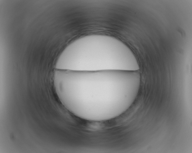 X0000114190079200910091037