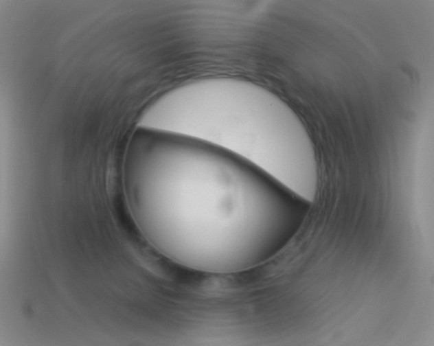 X0000114190080200910091037