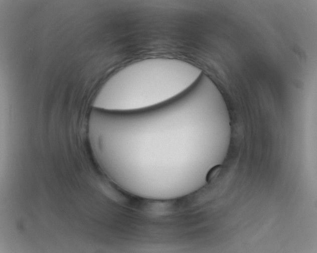 X0000114190081200910091037