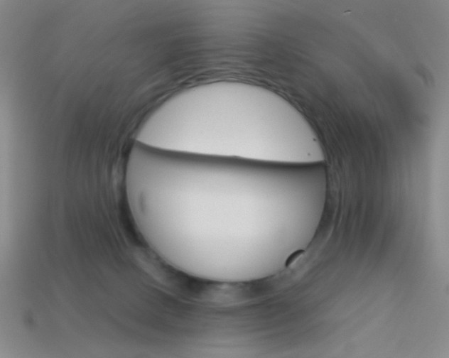 X0000114190082200910091037