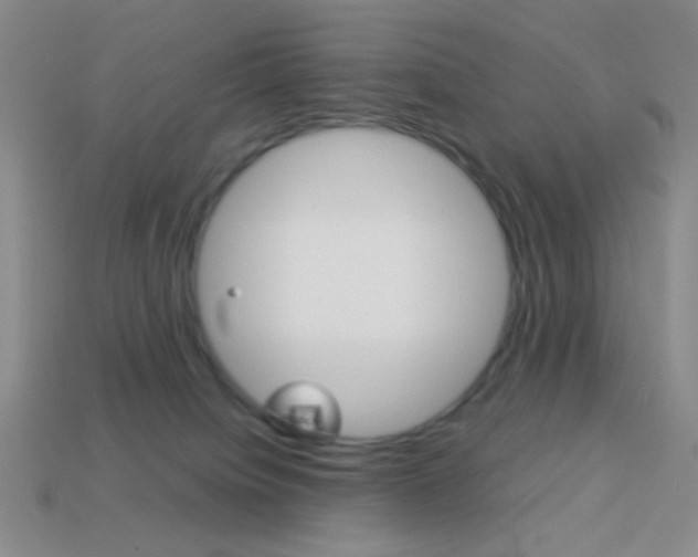 X0000114190084200910091037