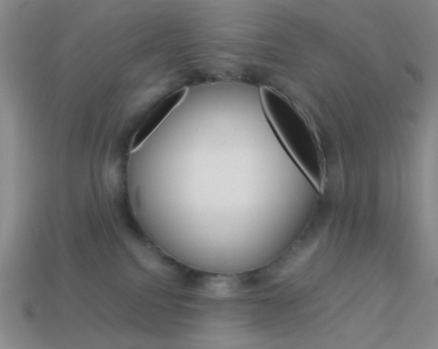 X0000114190088200910091037