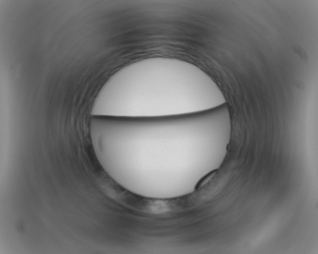 X0000114190091200910091037