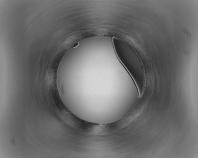 X0000114190092200910091037