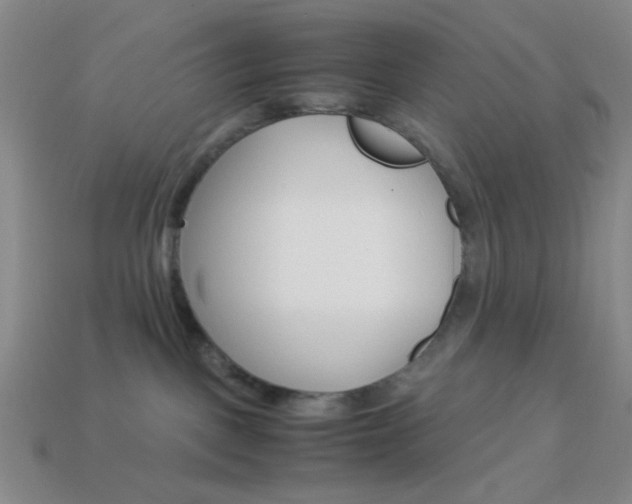X0000114190093200910091037