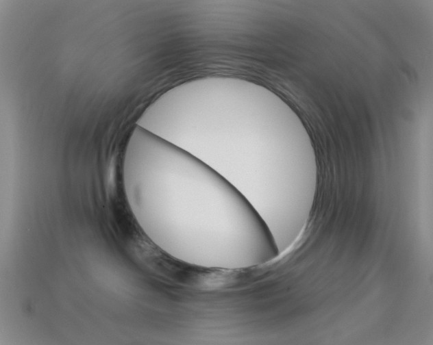 X0000114190094200910091037