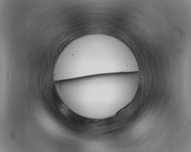 X0000114190095200910091037