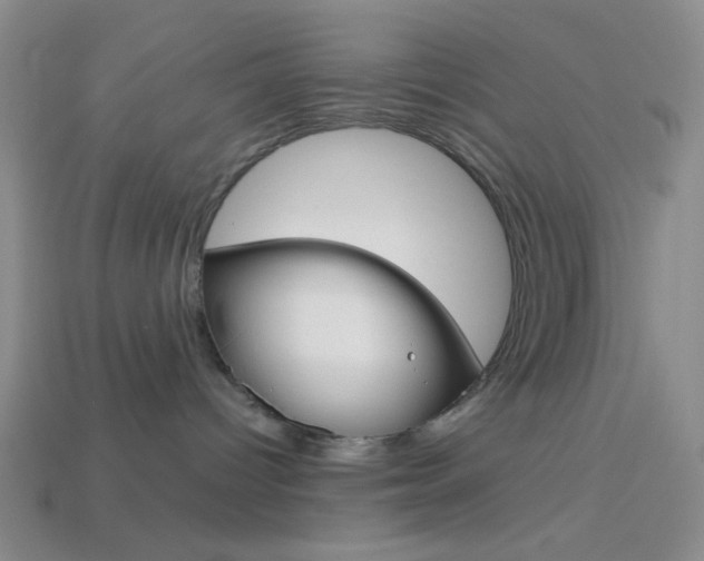 X0000114190096200910091037