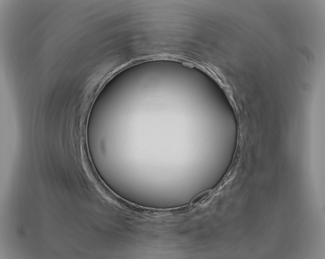 X0000114190097200910091036