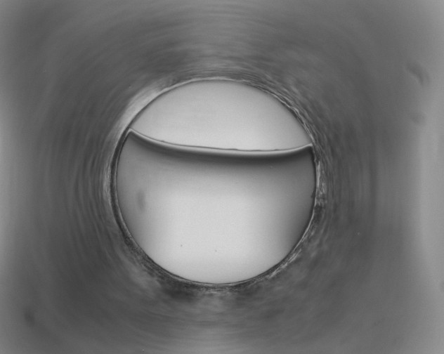 X0000114190099200910091036