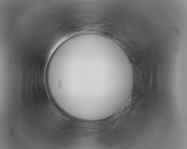 X0000114190100200910091036