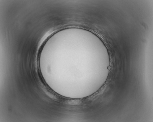 X0000114190102200910091036