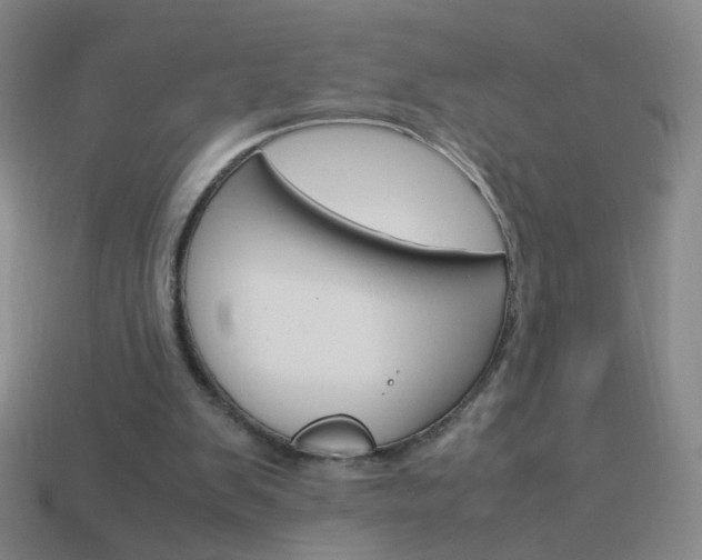 X0000114190103200910091036