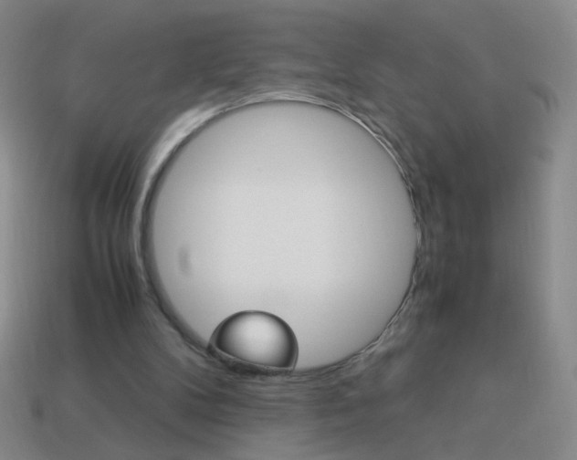 X0000114190104200910091036