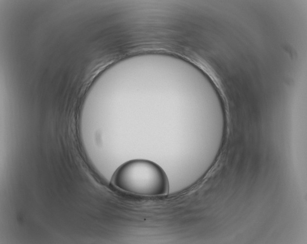X0000114190105200910091036