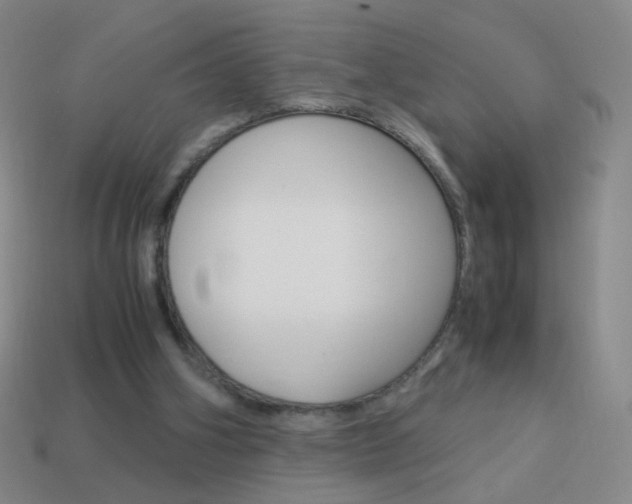 X0000114190106200910091036