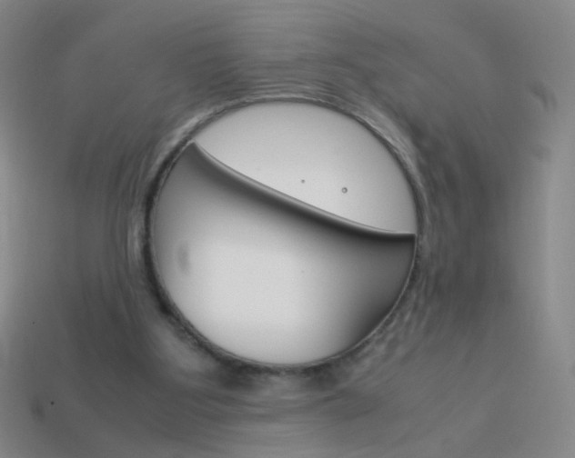 X0000114190107200910091036