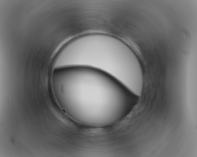 X0000114190108200910091036