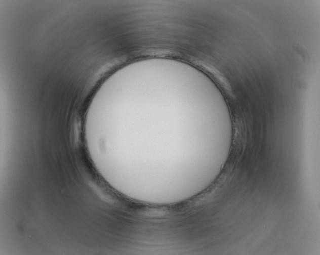 X0000114190110200910091036