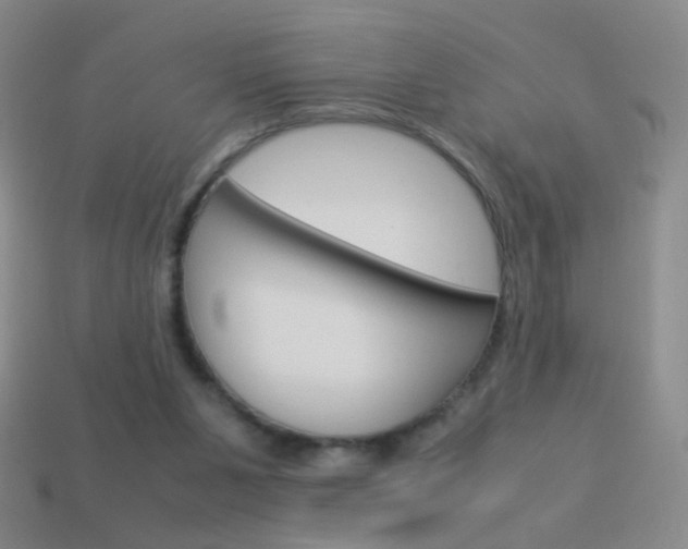 X0000114190111200910091036