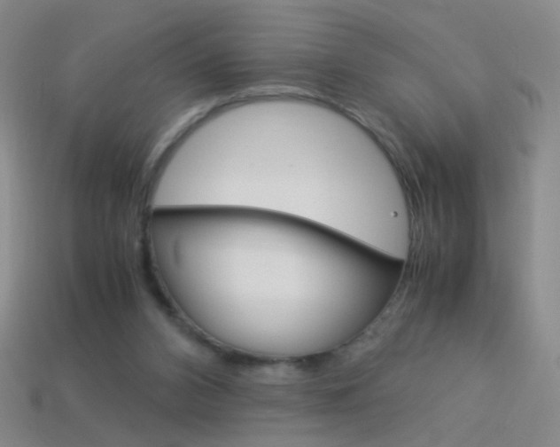 X0000114190112200910091036