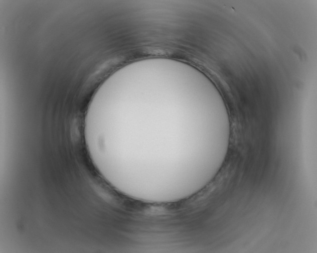 X0000114190114200910091036