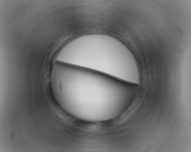 X0000114190116200910091036