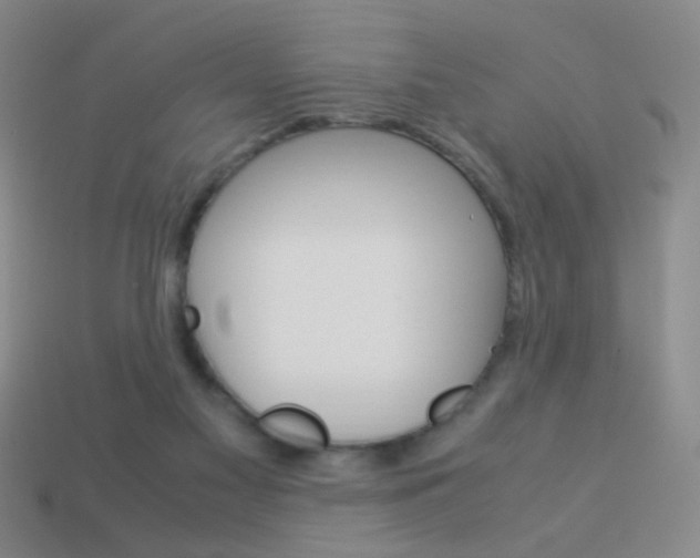X0000114190117200910091036