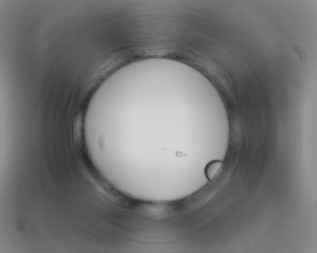 X0000114190118200910091036