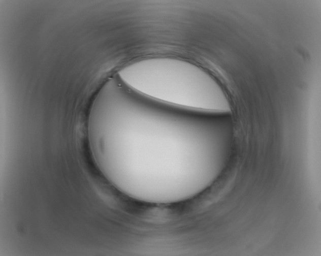 X0000114190119200910091036