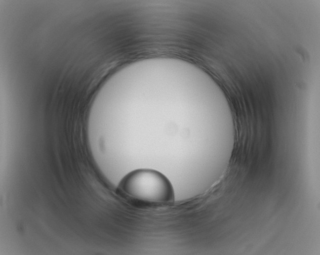 X0000114190120200910091036