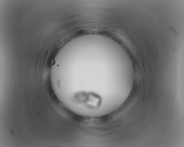 X0000114190125200910091036
