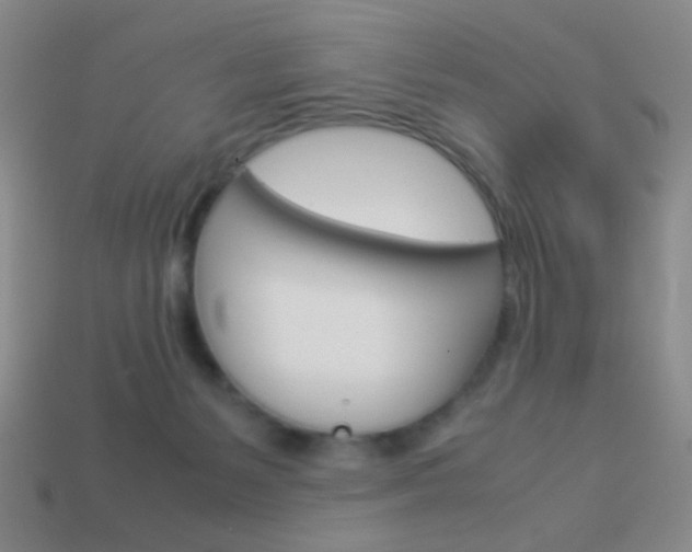 X0000114190127200910091036