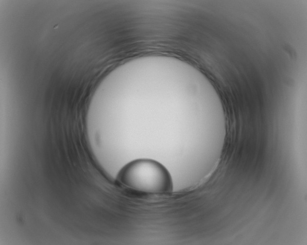 X0000114190128200910091036