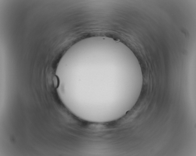 X0000114190133200910091036