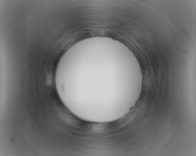 X0000114190134200910091036