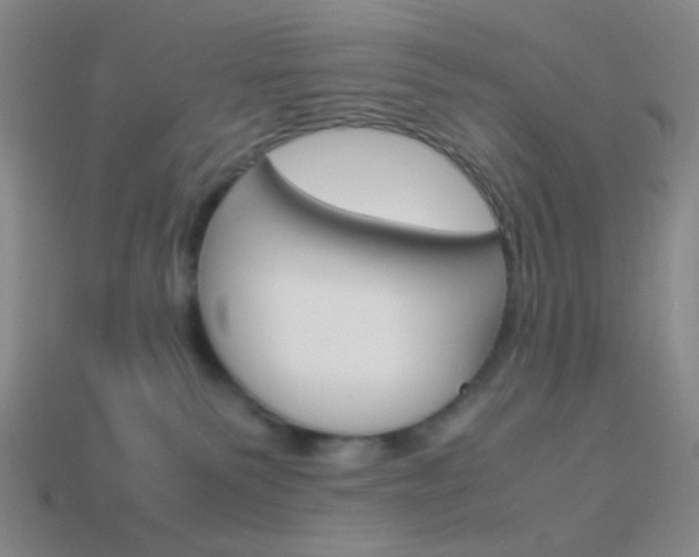 X0000114190135200910091036