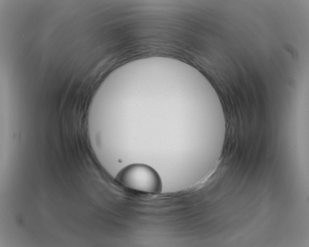 X0000114190140200910091036