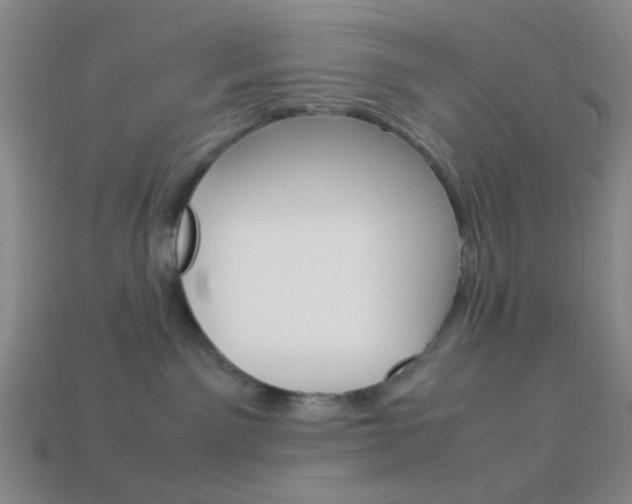 X0000114190141200910091036