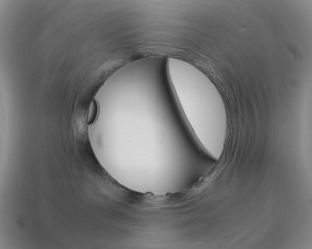 X0000114190143200910091036