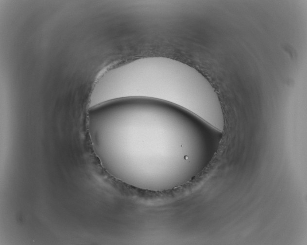 X0000114190144200910091036