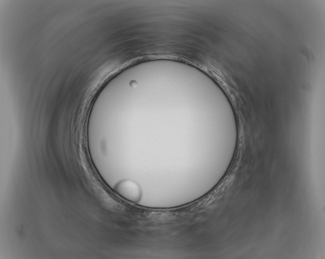 X0000114190145200910091035