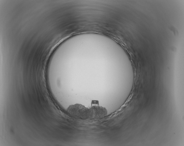 X0000114190146200910091035