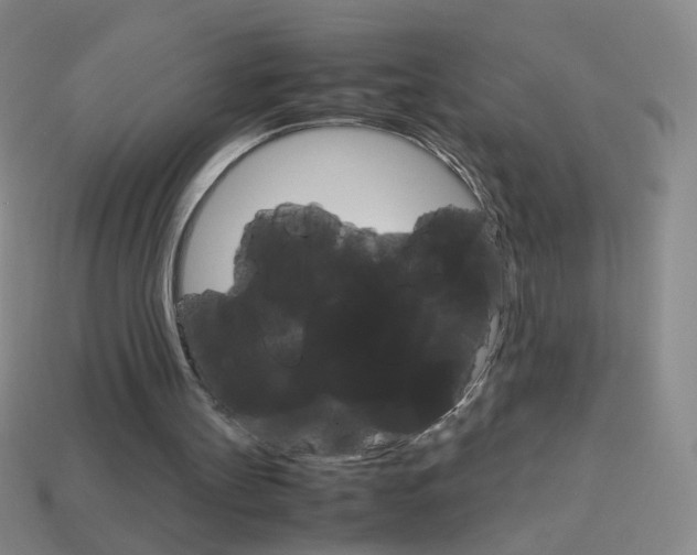 X0000114190147200910091035