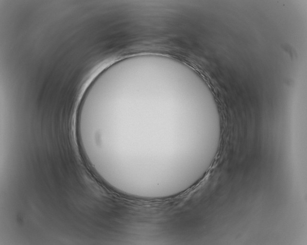 X0000114190148200910091035