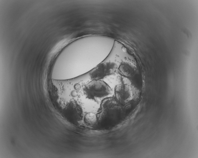X0000114190149200910091035