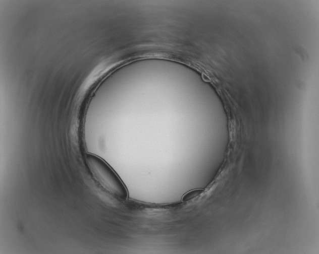 X0000114190150200910091035