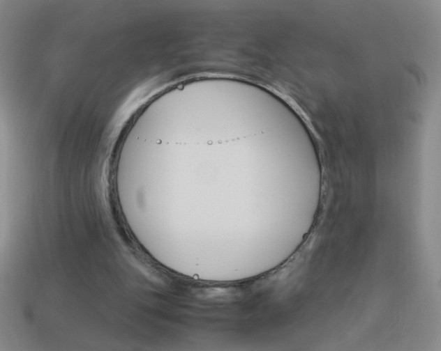 X0000114190151200910091035
