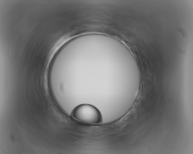 X0000114190152200910091035